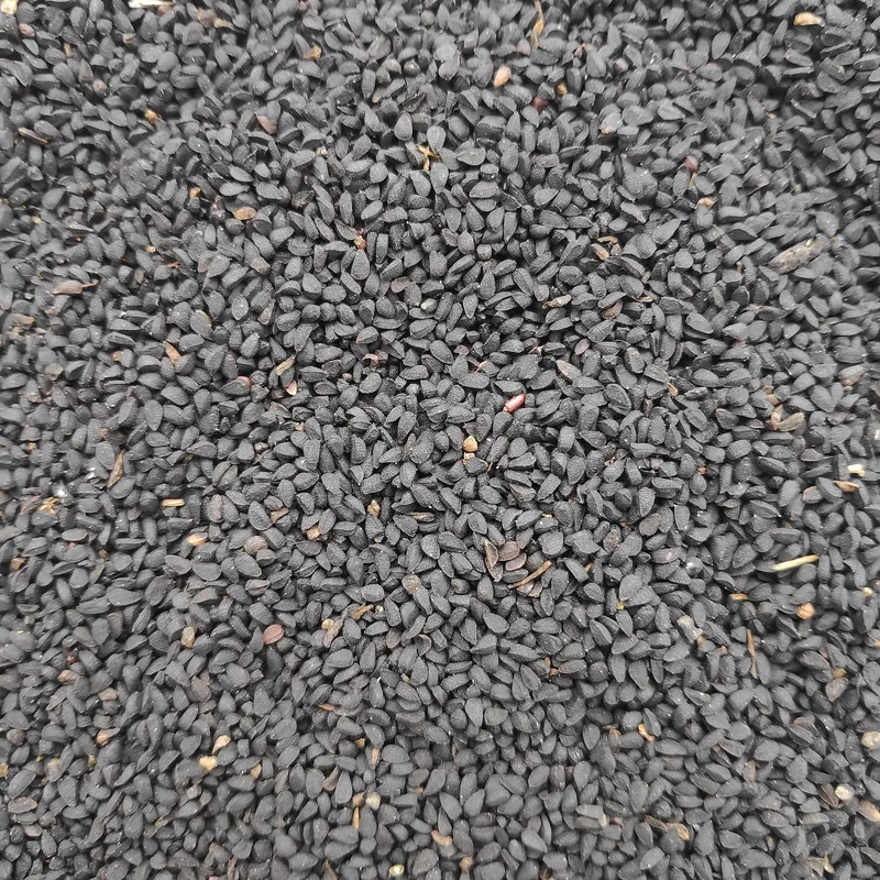حبة البركة